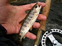 2007-04-22 052.JPG